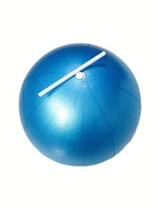 Mini Balón de Ejercicio de 25 cm - Balón de Yoga y Pilates de PVC Antiexplosión para Gimnasio en Casa, Ejercicios de Glúteos y Abdominales - Logotipo Personalizado - Product Image 3
