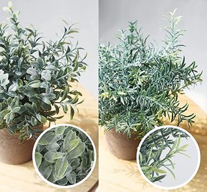 Mini plantas artificiales en maceta, plantas <span class=keywords><strong>de</strong></span> eucalipto <span class=keywords><strong>de</strong></span> plástico, plantas <span class=keywords><strong>de</strong></span> Romero <span class=keywords><strong>de</strong></span> imitación, decoración <span class=keywords><strong>de</strong></span> escritorio para el hogar, jardín y oficina, juego <span class=keywords><strong>de</strong></span> fábrica <span class=keywords><strong>de</strong></span> 3 uds. - Product Image 3