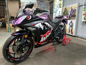 <span class=keywords><strong>Moto</strong></span> <span class=keywords><strong>Électrique</strong></span> 72V Ninja Warrior d'<span class=keywords><strong>Occasion</strong></span> pour Compétition et Course Urbaine 3000W - Product Image 6