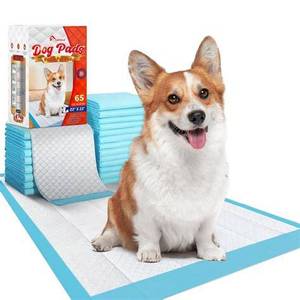 Tapis d'entraînement écologique jetable pour chiens, vente en gros, pour animaux domestiques, pour les pipis et les crottes - Product Image 1