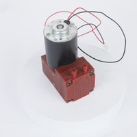 Pompa vakum tekanan negatif, mesin bekam tekanan tinggi Motor DC 12v/24v kepala ganda