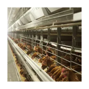 Be Popular 4 Tiers Chicken Egg Layer Battery Cage