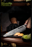 Pisau Dapur Baja Damaskus 67-Lapis VG10 Ekstra Tajam & Keras, Pisau Chef Santoku Boning Utility Dengan Gagang Kayu Pakka Merah