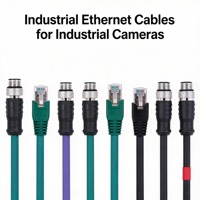 Câble Ethernet M12 IP67 300mm avec connecteur RJ45 étanche, 220V, monoconducteur, faisceau de câblage industriel en cuivre, plastique PVC bleu, en bobine