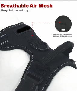 Düşük Fiyatlı Günlük Köpek Eğitimi Kişiselleştirilmiş Siyah Polyester Naylon Tasma Göğüs Tasması Nefes Alabilen Ayarlanabilir Çekişsiz Büyük Köpek - Product Image 4