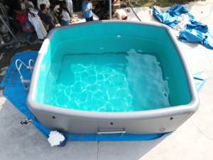 Piscina Grande Portátil, Plegable, Inflable, Elevada, para Jardín y Patio - Product Image 4