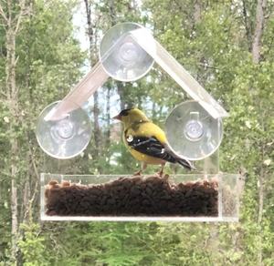 Mangeoire à graines pour oiseaux sauvages en acrylique en plastique transparent de haute qualité avec fenêtre transparente fournitures de jardin en gros dans la maison - Product Image 3