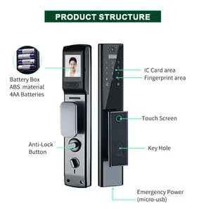 Elettrico biometrico riconoscimento del volto di impronte digitali Smart porta serratura per porte in legno