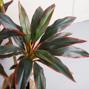 <b>Artificial</b> Red Ironwood Tree 100cm 200cm High Simulation Leaves Indoor Decor Plant Nordic Style Home Decoration - Product Image 1