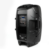 DASN SCC15AOH-LED4 Enceinte active professionnelle de classe AB en plastique de 15 pouces 100W avec contrôle par application Enceinte amplifiée