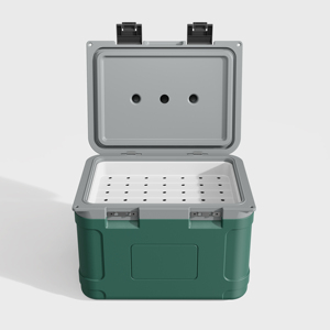 cooler box 21L Durable portable handled Ice cooler box for food transportation cooler box