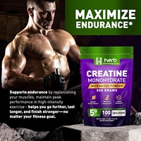 ODM/OEM Creatina Vegana Natural en Polvo Instantáneo Sin Azúcar, Suplemento Pre-Entrenamiento, 5g por Porción, 120 Unidades, para Adultos, Gimnasio, Fitness