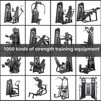 Équipement commercial professionnel de machine de courbure de triceps de machine de boucle de biceps pour l'entraînement de force, la musculation, et le mouvement de bras