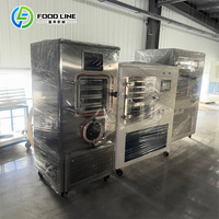 Kleine schaal bedrijf kleine vriesdroogmachine: fruit kleine batchproductie kleine vriesdroogmachine