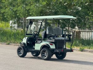 Voiturette de golf électrique 4x4 couleur or certifiée CE 3-4 places 48V AC 5kW avec plancher en aluminium, luxe, pour le tourisme et promotionnelle - Product Image 4
