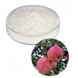 <span class=keywords><strong>Vinaigre</strong></span> de cidre <span class=keywords><strong>blanc</strong></span> en poudre de qualité alimentaire, fourni par l'usine - Product Image 2
