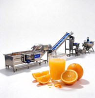 Ligne de production de jus d'orange, équipement de pasteurisation et de traitement du concentré avec système de lavage, de pelage et de remplissage
