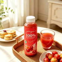 YuTangYuan Haitang Crabapple 100% Gemengde Puree Fruit Sap ISO HACCP HALAL Gecertificeerd Op Maat Gefilterd Natuurlijke Smaak 300ml OEM