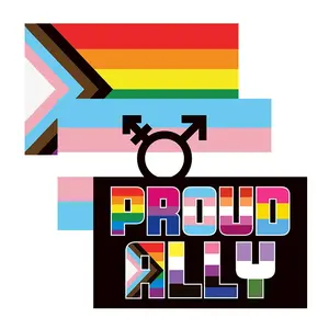 定制高品质100% 聚酯彩虹LGBT骄傲3x5ft英尺德米米性旗，带两个索环