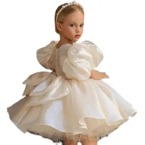 Embroidered Frock Design Baby Princess Lace Girl Party Dress Children&#39;s Wear Dress