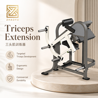 Machine d'extension des triceps isolatérale professionnelle à charge par plaques, avec coussin de soutien ergonomique, pour la musculation en salle de sport et les clubs de force