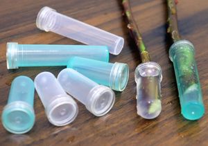 Tubo de nutrição de flores frescas, tubo de água para manter frescas, tubo de cultura de flores florais transparente - Product Image 2