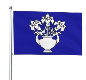 Drapeau CEREDIGION de haute qualité, drapeau extérieur personnalisé 3x5 pieds, bannière imprimée simple face, design personnalisé, drapeau de bienvenue pour la cour - Product Image 3