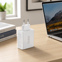 Adaptateur Secteur Haute Vitesse 65W 6 Ports Certifié CE FCC US EU PD 3.0 20V avec Protection OVP pour 17/16/15/14 Pro Max (Vente en Gros)