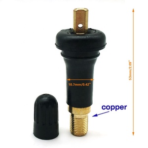 <span class=keywords><strong>Valve</strong></span> de pneu TPMS20008, tige en caoutchouc EPDM et en laiton, remplacement sans chambre à air, TPMS413 Valvs pour capteur de pression des pneus - Product Image 2