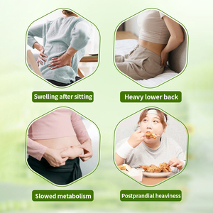 Patch pelangsing pembakar lemak perut Herbal, dengan manajemen berat badan pelet nyaman 5 buah/kotak - Product Image 5