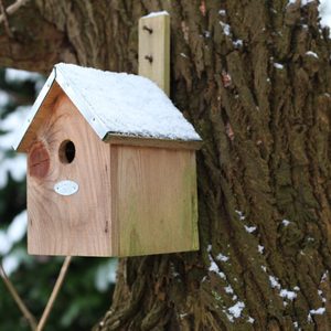 Esschert Design Nichoirs professionnels raisonnables Nid pour oiseaux Boîte à oiseaux Cage pour chaque oiseau - Product Image 4