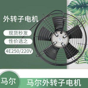 พัดลมโรเตอร์ภายนอก 4E250 ขนาด 250 มม. 220V ประสิทธิภาพสูง สำหรับตู้แช่เย็น คอนเดนเซอร์ เครื่องอบแห้ง ตู้โชว์สินค้า มอเตอร์ครัว - Product Image 5