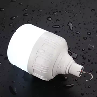 Ampoule LED en forme de T 30W pour le camping et la maison, B22/E27, rechargeable par USB, éclairage d'urgence en plastique