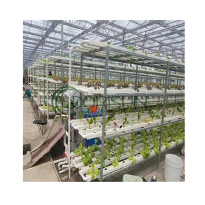 Plante de fraise européenne, tour de jardinage verticale, Pots, Cube d'eau, prise de jardin, système européen avec poteau - Product Image 1