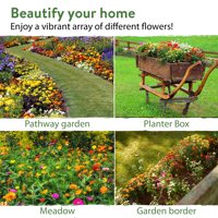Mezcla Natural de 23 Variedades de Flores Silvestres Anuales 100% Sin OGM a Granel para Pájaros y Mariposas para Uso en Jardineras de Suelo y Macetas de Jardín
