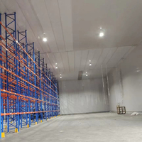 Chambre froide de plain-pied en acier inoxydable durable à panneaux PUR, à économie d'énergie, pour la congélation de viande en abattoir