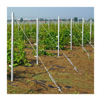 Nouveau Type de vente en gros, plantes de vigne galvanisées à chaud, vignes, raisin, piquet en métal, vignes, treillis, poteau