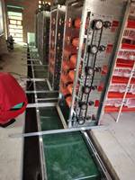 Cage à cailles automatique/Cage à cailles en plastique/Cages à cailles pour la production d'œufs HJ-QC400B