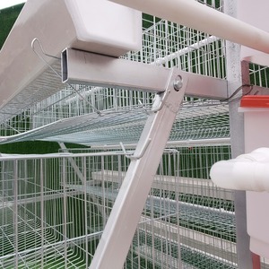 A tipi tavuk yumurta tabakası kafesleri RTL 3 4 katlı tavuklar pil otomatik tavuk çiftlikleri yetiştiriciliği tavuk kümesi satılık - Product Image 5