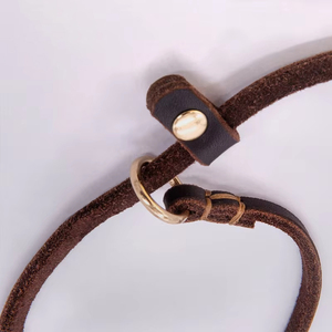 SinSky-Collares de diseño personalizado para mascotas, correas ligeras, finas pero resistentes de cuero, cuerda de plomo, correas suaves y delgadas para perros - Product Image 6