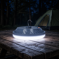 Lampe de camping portable d'extérieur haute luminosité 50W 100W 200W, rechargeable par USB et solaire, ampoule LED d'urgence