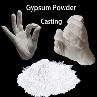 Yeso en Polvo Modelo G, Yeso Blanco para Escultura Artística con Difusor de Aromaterapia, Piedra Hecha a Mano, Yeso en Polvo para Manualidades al por Mayor