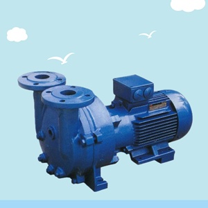 Energy Saving <b>Water</b> Ring 2BV Series Industrial High Ring Vacuum <b>Pump</b> - Product Image 1