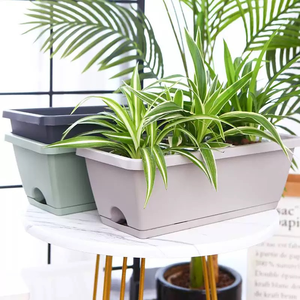 Vente en gros de jardinière en plastique design moderne <span class=keywords><strong>pour</strong></span> intérieur et extérieur PP écologique <span class=keywords><strong>pour</strong></span> la plantation de fruits et légumes à fleurs - Product Image 6