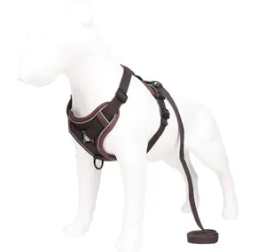 Groothandel Buiten Reizen Harnas Hond Pet Accessoires Pet Dog Harness En Leash Set Reflecteren Licht Verstelbare Harnas