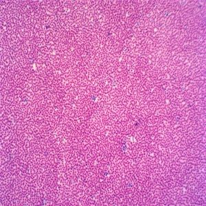 Микроскоп, изготовленный на заводе - Product Image 5