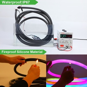 24V 360 Luminous Black <strong>Neon</strong> <strong>Flex</strong> Tira Led D30/25/22 Black Flexible <strong>Neon</strong> Tube Control Dmx Black <strong>Neon</strong> Rope Light for Rave Club - Product Image 6