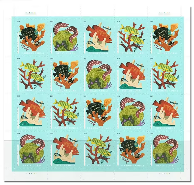 2019 Récifs de Corail A164