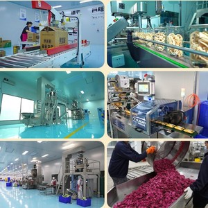 1kg cao cấp đóng băng khô toàn bộ dâu tây ngọt ngào giòn lành mạnh ăn nhẹ cung cấp số lượng lớn với quá trình bảo quản nước - Product Image 6