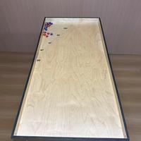 Jeu éducatif de table Shuffleboard pour enfants, jouet interactif pour le plaisir en famille, puzzle de logique, casse-tête
